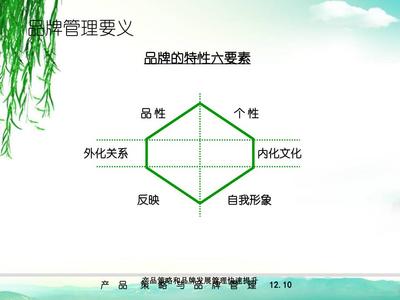 产品策略和品牌发展管理快速提升